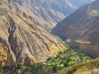 The Oasis in Colca Canyon