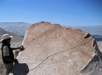 Toro Muerto Petroglyphs Colca Canyon